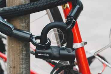 image-copyright (46)